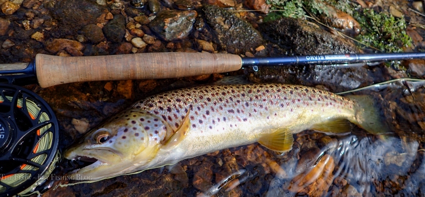 Kyle Winey – The Flow – Fly Fishing Blog